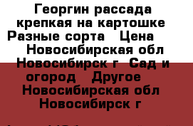 Георгин рассада крепкая на картошке. Разные сорта › Цена ­ 150 - Новосибирская обл., Новосибирск г. Сад и огород » Другое   . Новосибирская обл.,Новосибирск г.